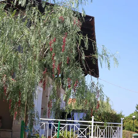 Golden Family Apartment Pefkochori