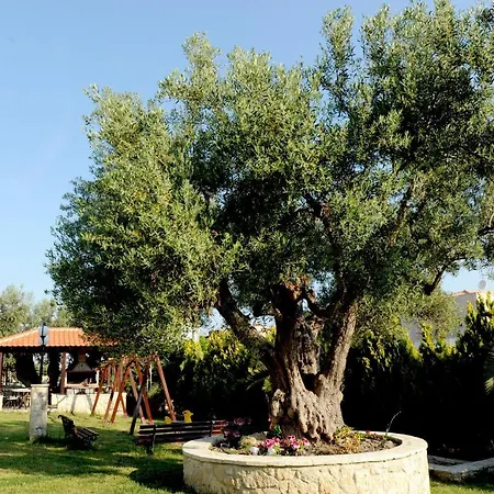 Apartmán Golden Family Pefkochori